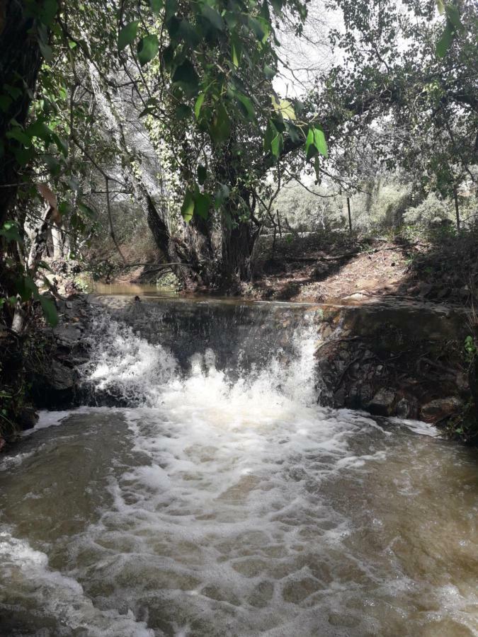 Casa De La Abuela Pepi Affittacamere Aracena Esterno foto